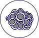 Red blood cells icon