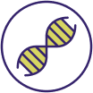 DNA icon