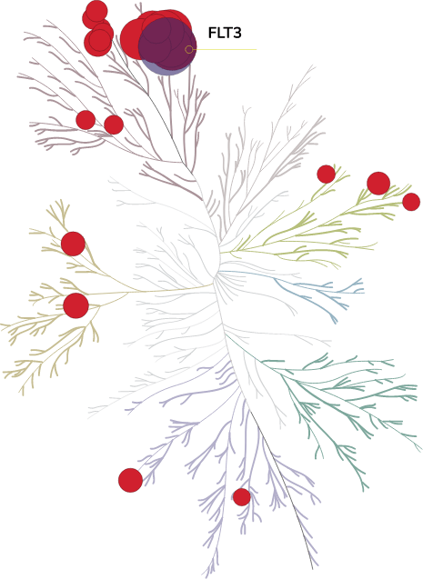 Image representing FLT3 selectivity in VANFLYTA