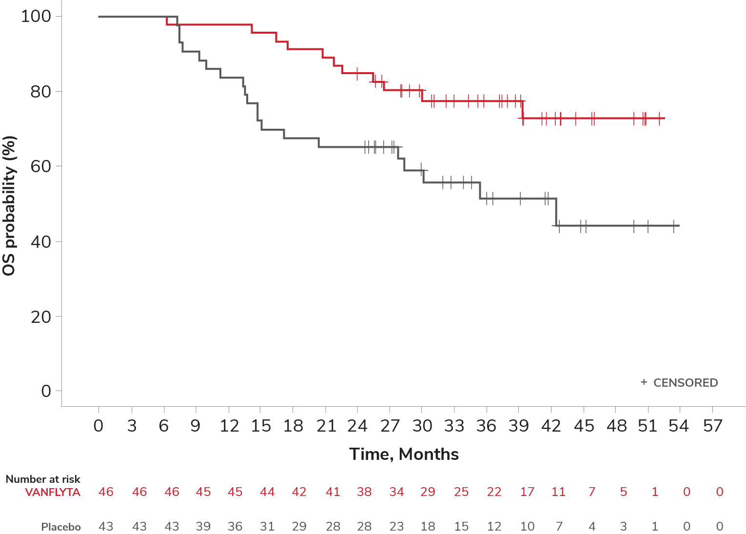 Chart showing overall survival in patients who did not undergo allogeneic HSCT and received maintenance therapy